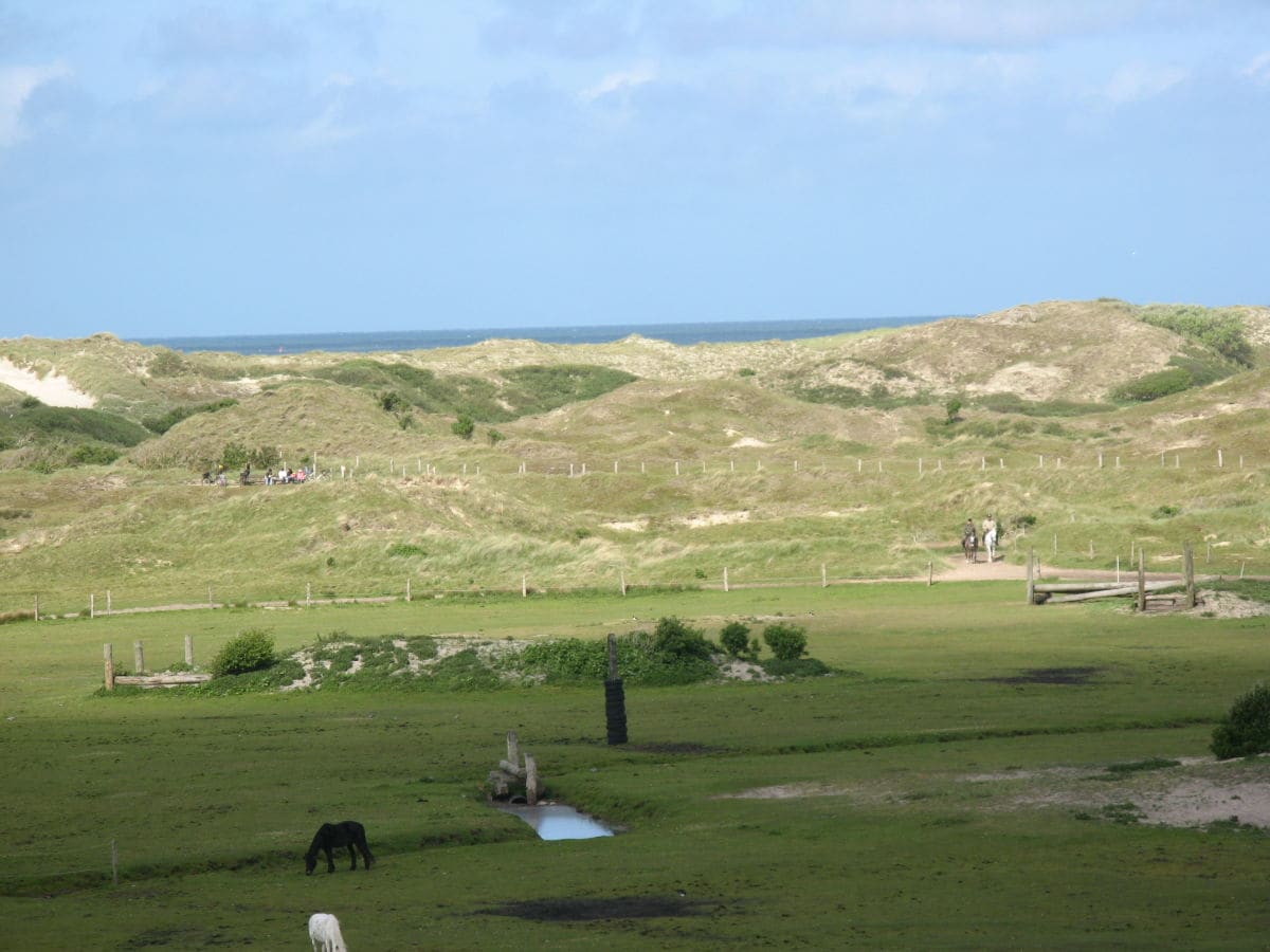 Blick auf den Reithof