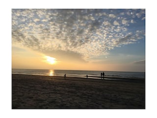 Vakantiehuis Julianadorp Omgeving 33