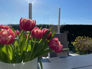 Vakantiehuis Julianadorp Buitenaudio-opname 6