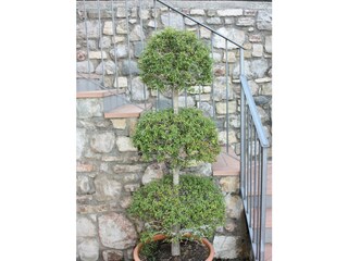 Appartamento per vacanze Tignale  39