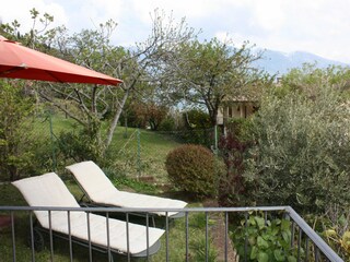 Der Garten