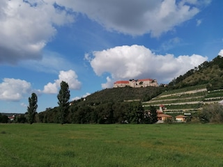 Schloss Neuenburg