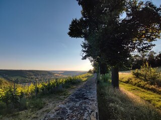 Blick auf Freyburg