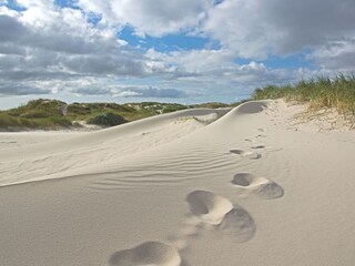 Dünen am Strand