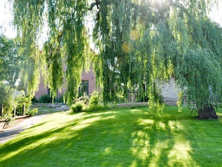 Holiday apartment Mardorf Outdoor Recording 6