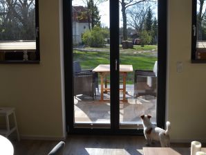 Ferienwohnung V "Freyja" am Islandpferdehof Gut Birkholz - Münchehofe - image1