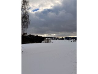 Beautiful landscape also in winter