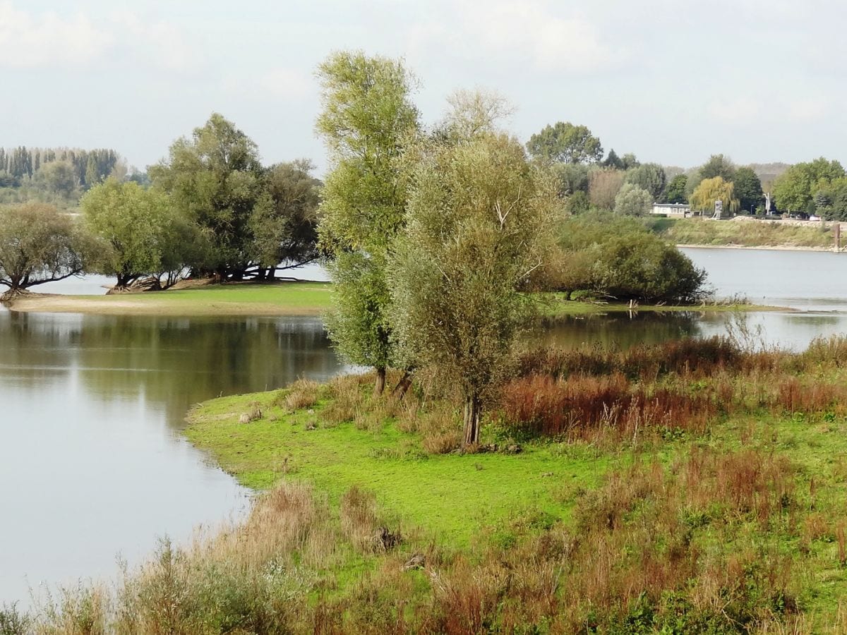 Zwischen Rhein und Maas