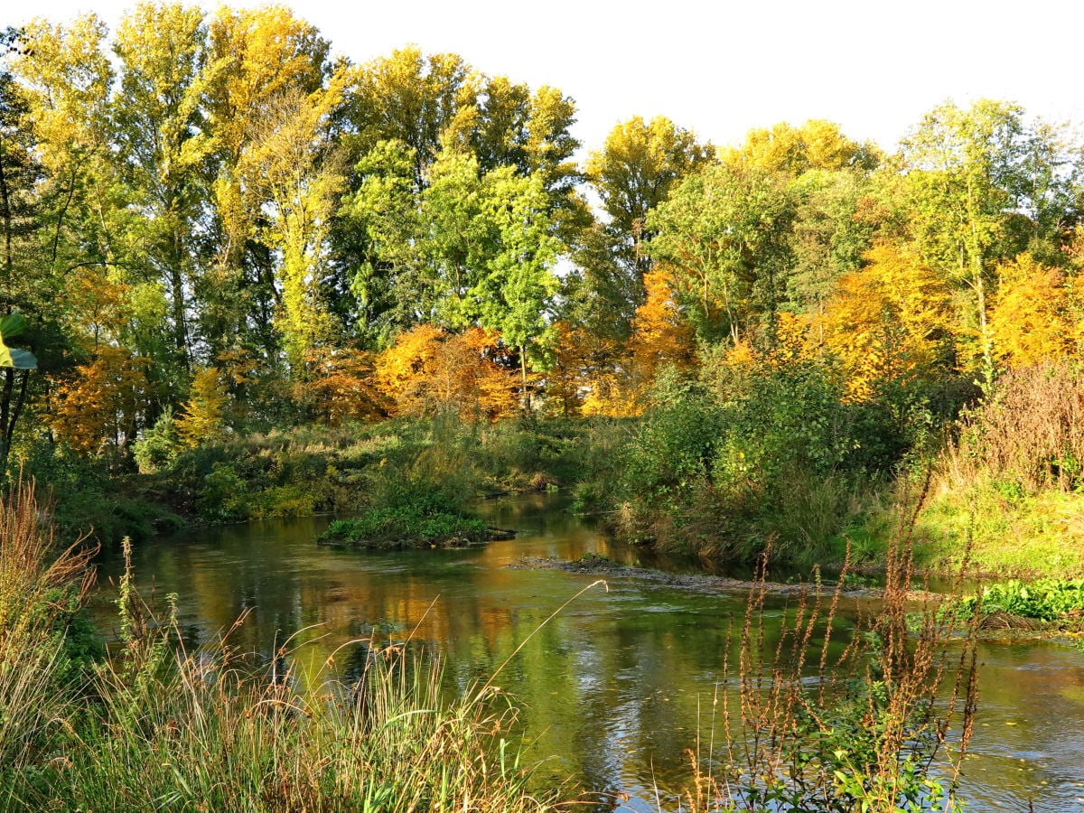 ... in den Niersauen