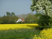 Umgebung hinter dem Ferienhaus