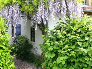 Ferienhaus Gärtners-Schmiede - Sulsdorf - image1