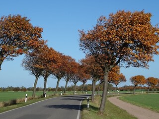 unsere "Hauptstraße"