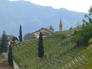 Appartamento per vacanze Tramin Ambiente 17