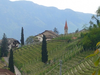 Aussicht vom Balkon