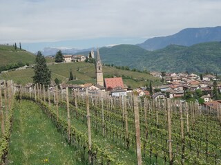 Tramin vom Weinberg aus