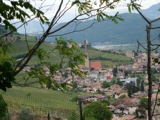 Tramin unten der Viertelgraunerhof