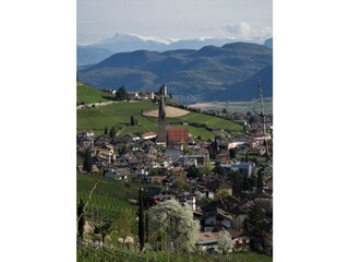 Tramin im Frühling