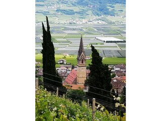 Blick über den Dächern von Tramin