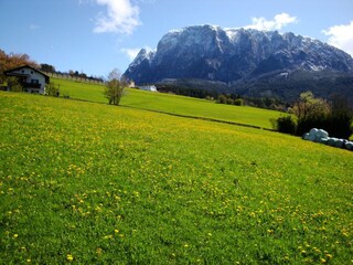 Appartamento per vacanze Völs am Schlern  23