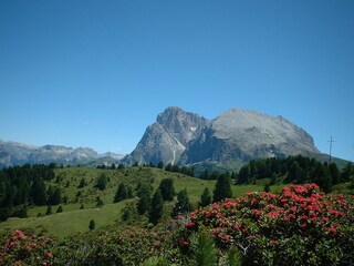 Appartamento per vacanze Völs am Schlern Registrazione all'aperto 3