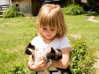 Appartamento per vacanze Völs am Schlern Ambiente 20