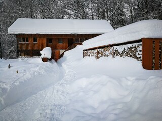 Casa per le vacanze Bizau Registrazione all'aperto 15
