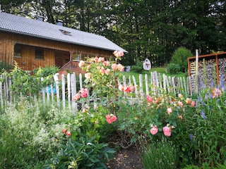 Leben in der Natur