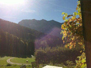 Herbststimmung im Garten