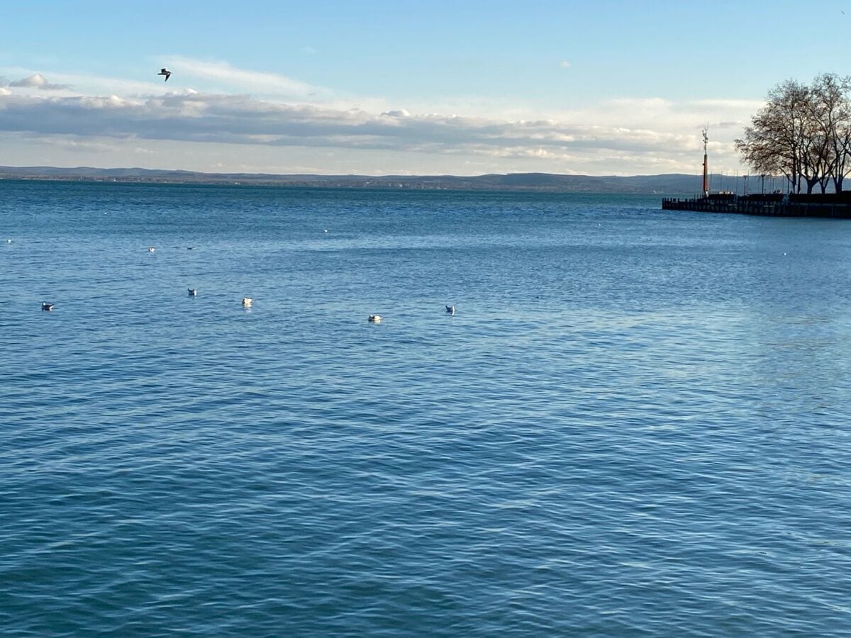 Der Balaton liegt nur 6 km von uns.