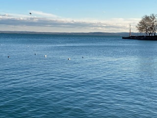 Der Balaton liegt nur 6 km von uns.