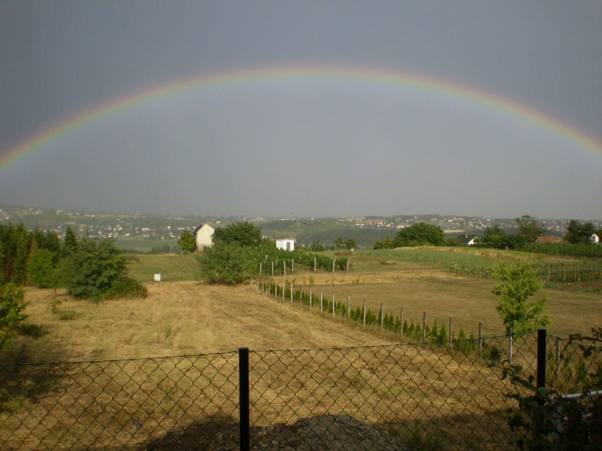 Regenbogen über den Weinbergen