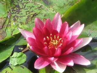 Appartamento per vacanze Hévíz Ambiente 22