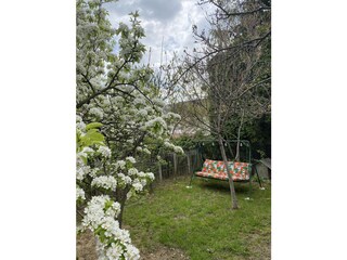 Appartamento per vacanze Hévíz Registrazione all'aperto 5