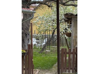 Appartamento per vacanze Hévíz Registrazione all'aperto 6