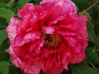 Appartamento per vacanze Hévíz Registrazione all'aperto 4