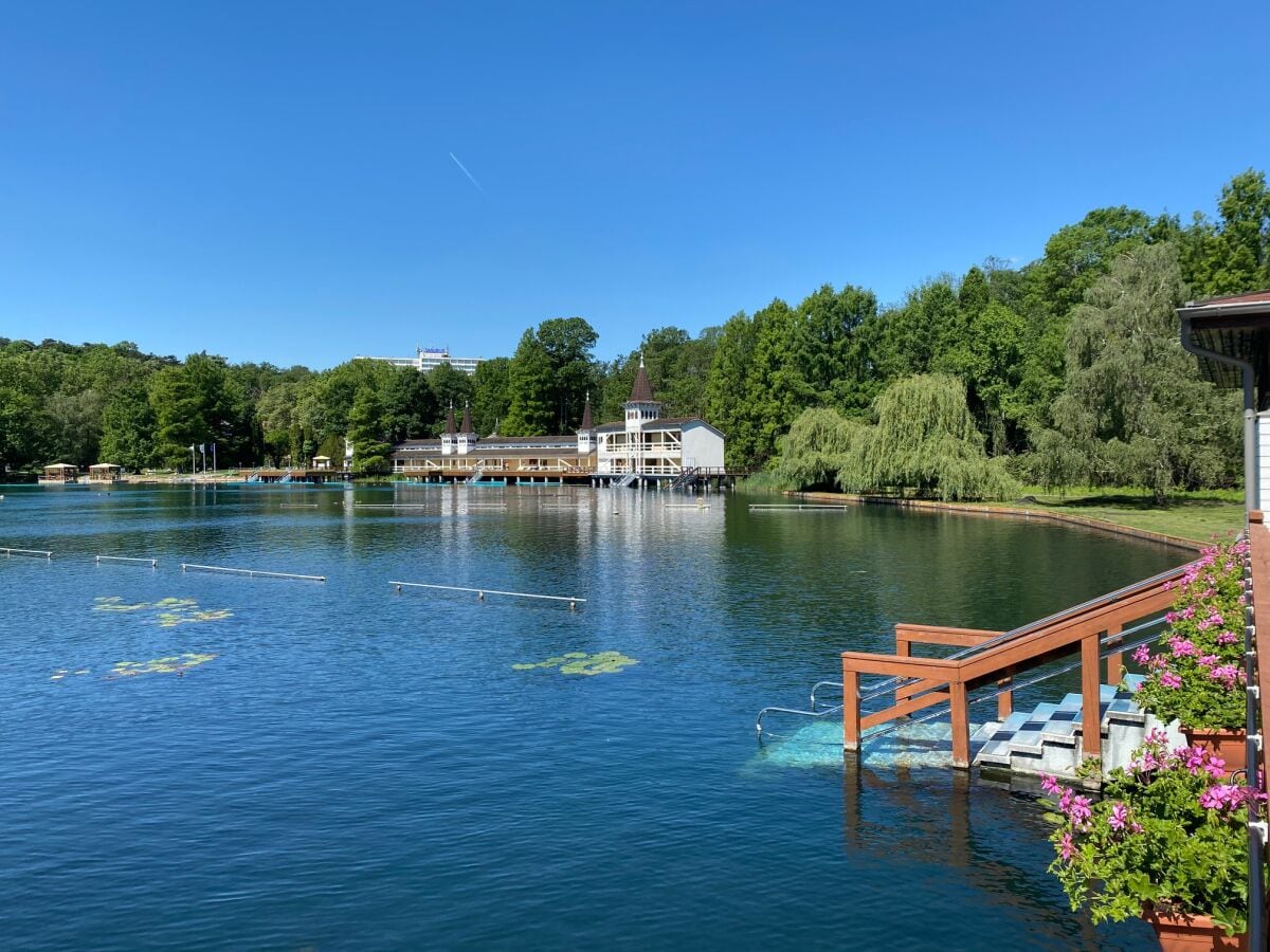 Das Wasser stammt von den Vulkanen...