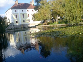 Maison de vacances Vonyarcvashegy  32