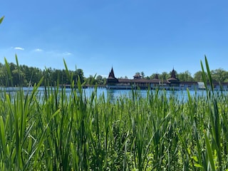 Naturschilf gibt es noch in vielen Ecken