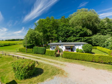 Ferienhaus direkt am Wald an der Ostsee