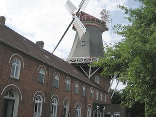 Windmühle mit Teestube (Alleestraße)
