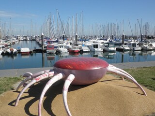 Appartamento per vacanze Cadzand-Bad Ambiente 19