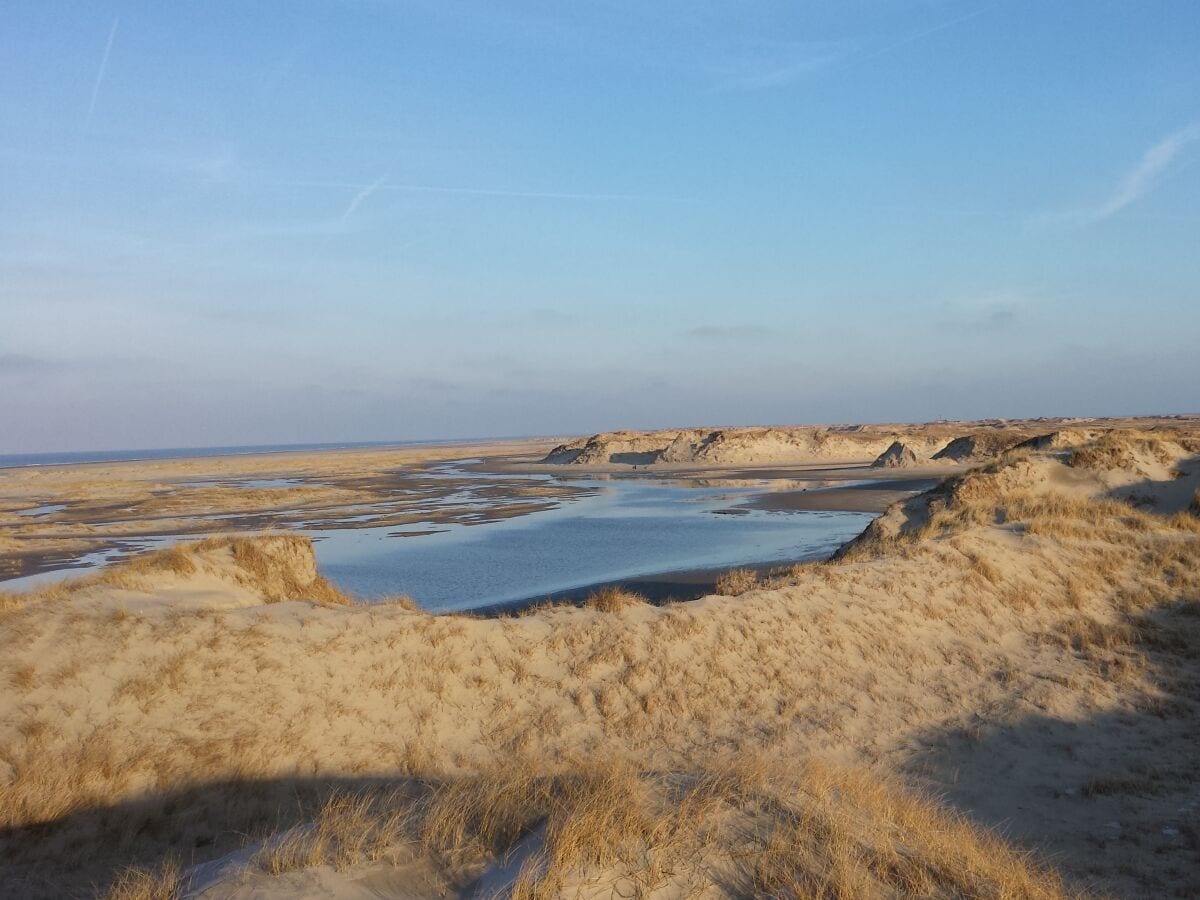 Dünenlandschaft am Ostende