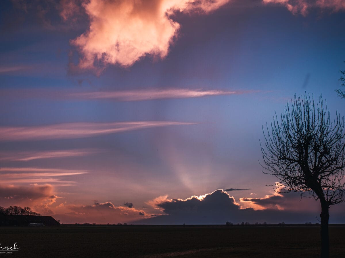 Blick aus dem Garten zum Deich