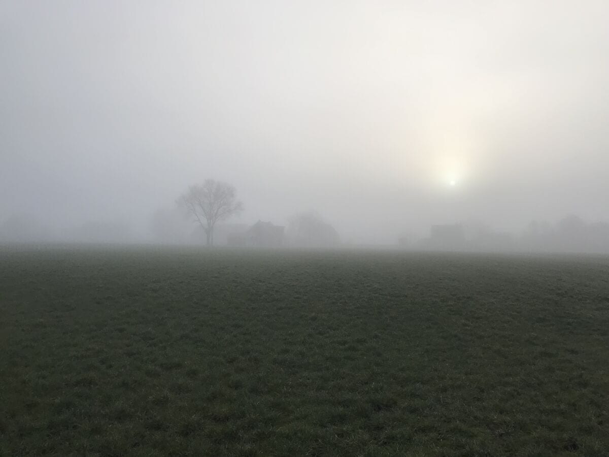 Nebel im Norden