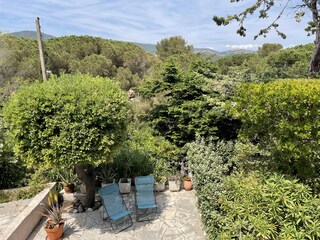 Terrace view from Balcony