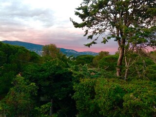 Evening view from the balcony