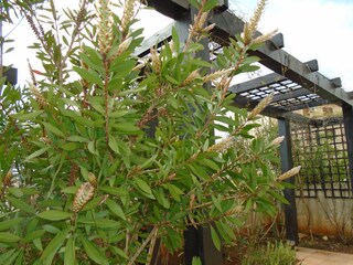 Appartamento per vacanze Ližnjan Registrazione all'aperto 3