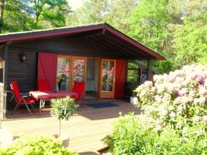 Ferienhaus Heideblockhaus Dachsbau - Neuenkirchen in der Lüneburger Heide - image1