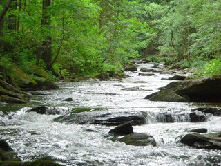 Bärnloch - Wildwasserschlucht