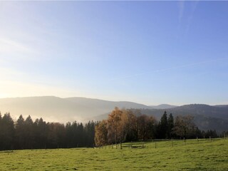 Wanderwege und MTB durch den Bayerischen Wald